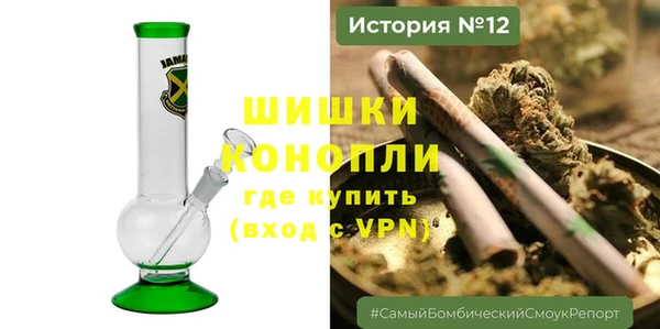 стаф Бородино