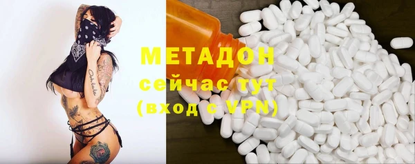 стаф Бородино