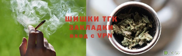 стаф Бородино