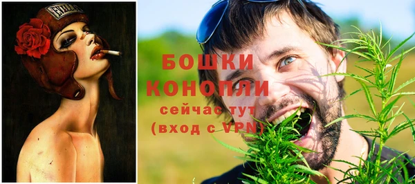 стаф Бородино