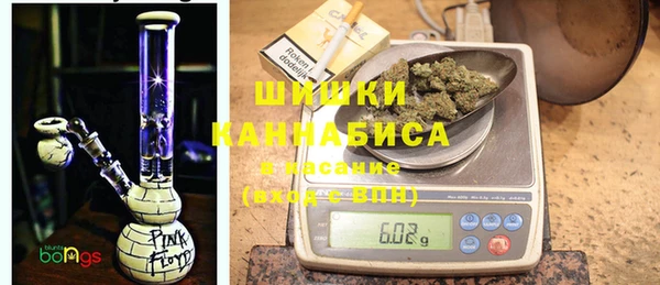стаф Бородино