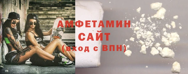 стаф Бородино