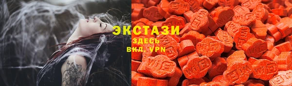 стаф Бородино