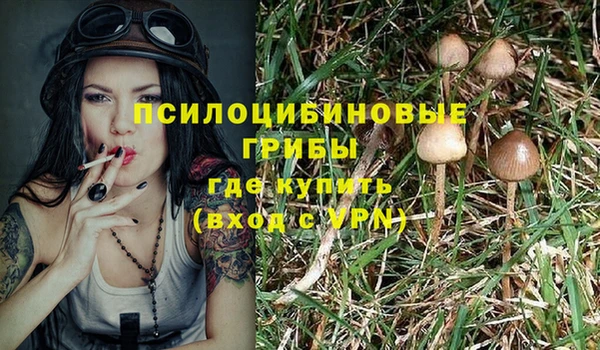 стаф Бородино