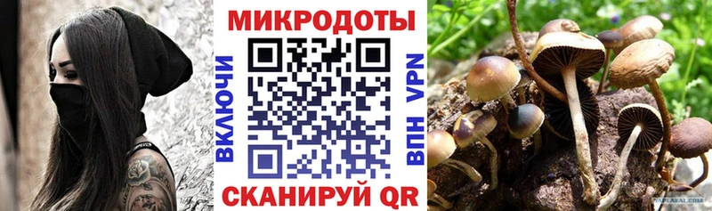MEGA рабочий сайт  Альметьевск  Псилоцибиновые грибы мицелий  где найти наркотики 